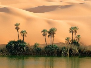 Desert-Oasis