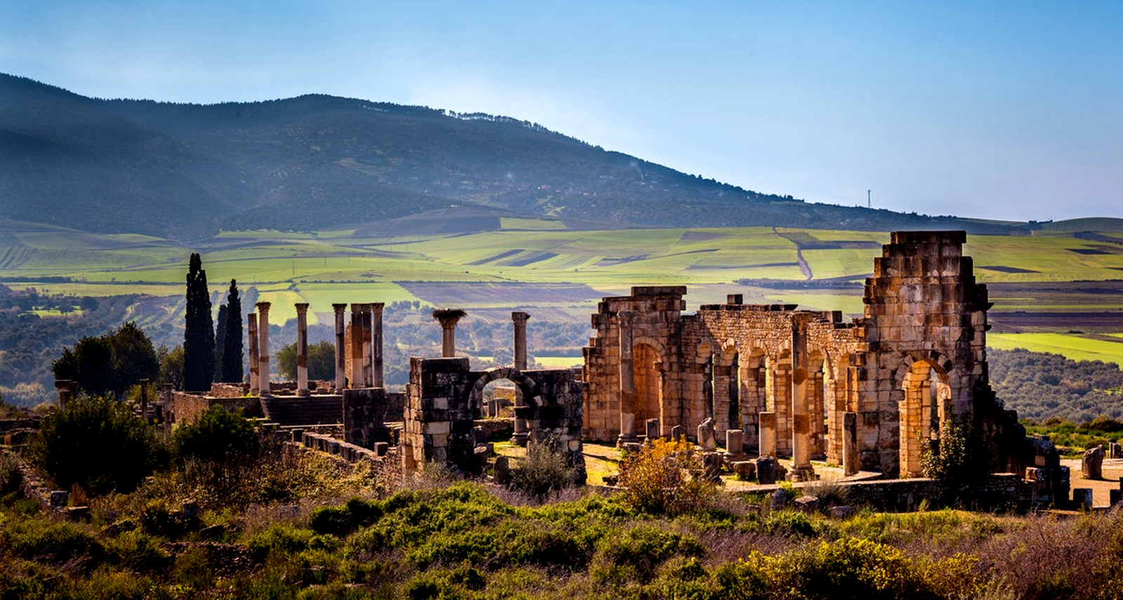 visit-meknes-volubilis-oualili-1 Volubilis